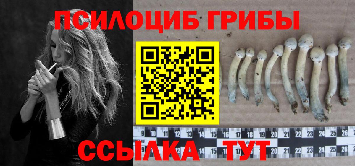 Галлюциногенные грибы ЛСД  Галлюциногенные грибы Psilocybine cubensis  Кировск  Вход с VPN 